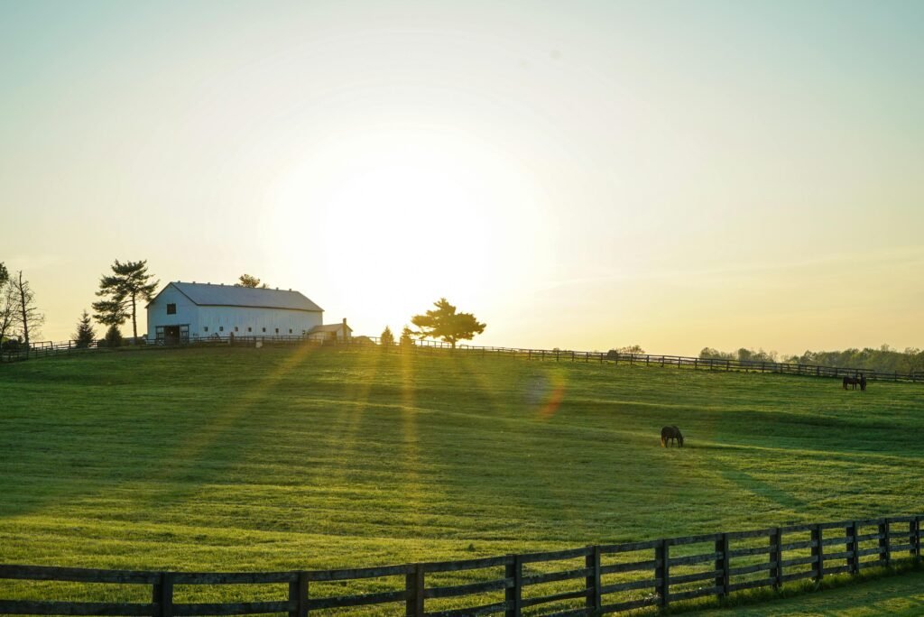 White House Beside Grass Field