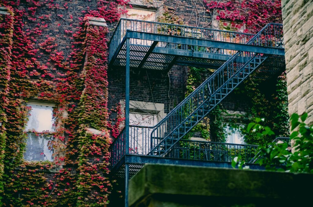 Blue Metal Ladder